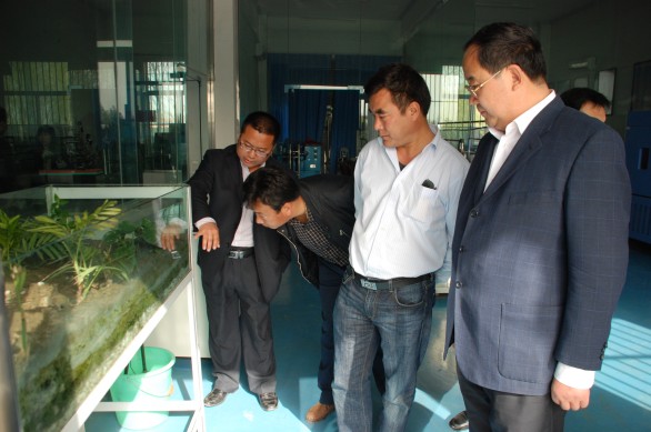 bevictor伟德官网 - 韦德官方网站