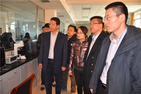 bevictor伟德官网 - 韦德官方网站