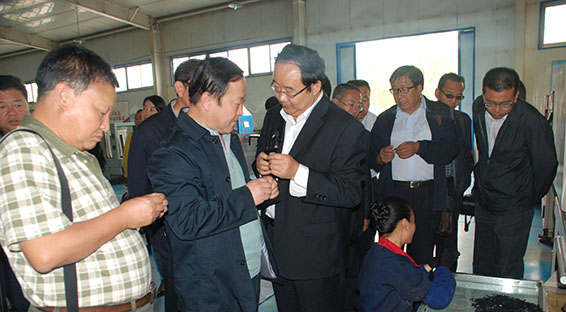 bevictor伟德官网 - 韦德官方网站