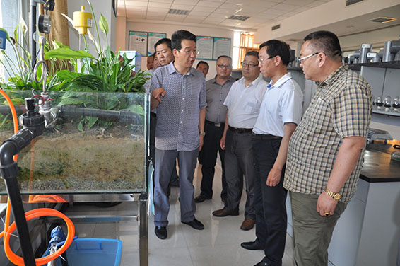 bevictor伟德官网 - 韦德官方网站