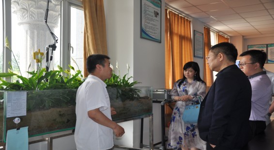 bevictor伟德官网 - 韦德官方网站